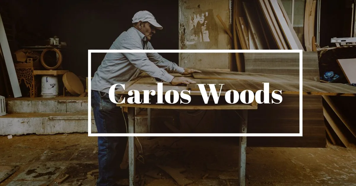 Read more about the article Carlos Woods: Master the Art of Leadership with Carlos Woods