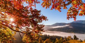 Read more about the article Stunning Fall Photos for Facebook Cover: Capture the Autumn Magic!