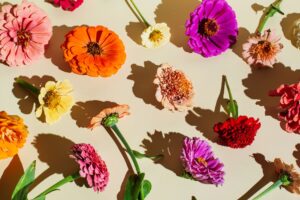 Read more about the article Facebook Cover Photos Flowers: Enhance Your Profile with Stunning Floral Imagery