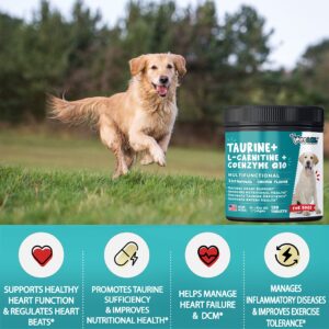 Read more about the article Dog Taurine Deficiency: Signs & Prevention Tips