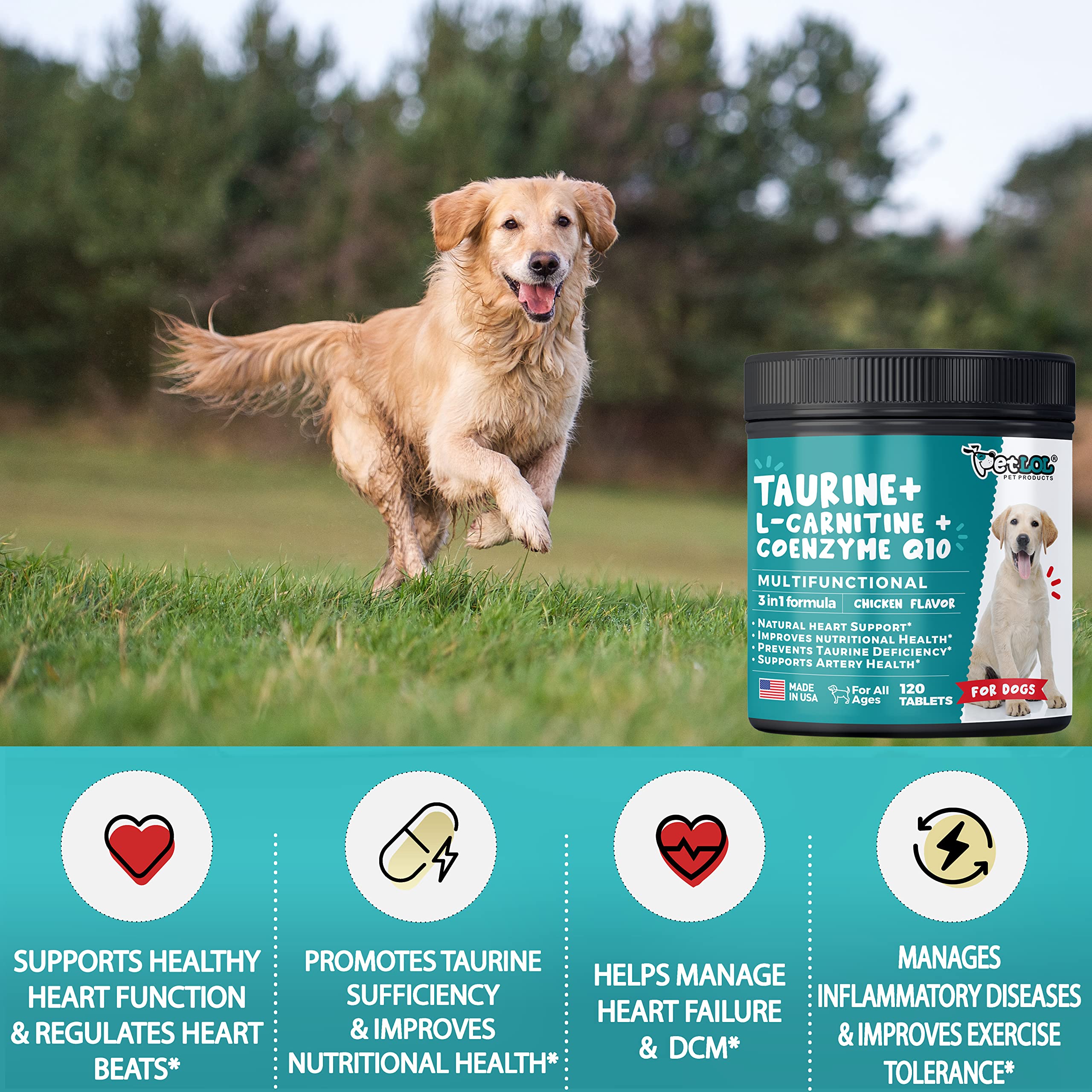 You are currently viewing Dog Taurine Deficiency: Signs & Prevention Tips