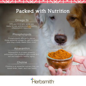 Read more about the article Taurine in Dogs: Boost Health with this Essential Nutrient