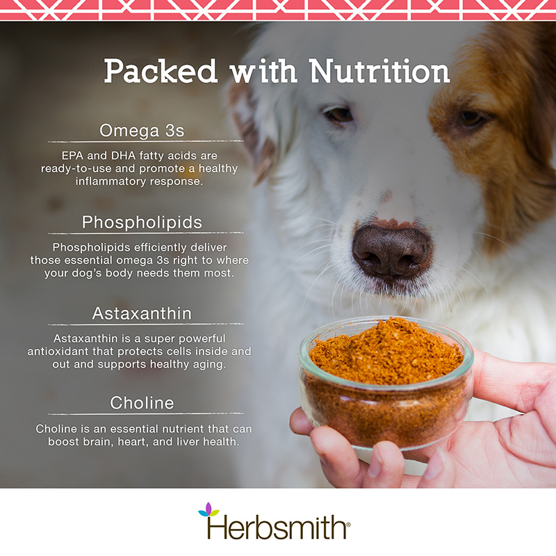 You are currently viewing Taurine in Dogs: Boost Health with this Essential Nutrient